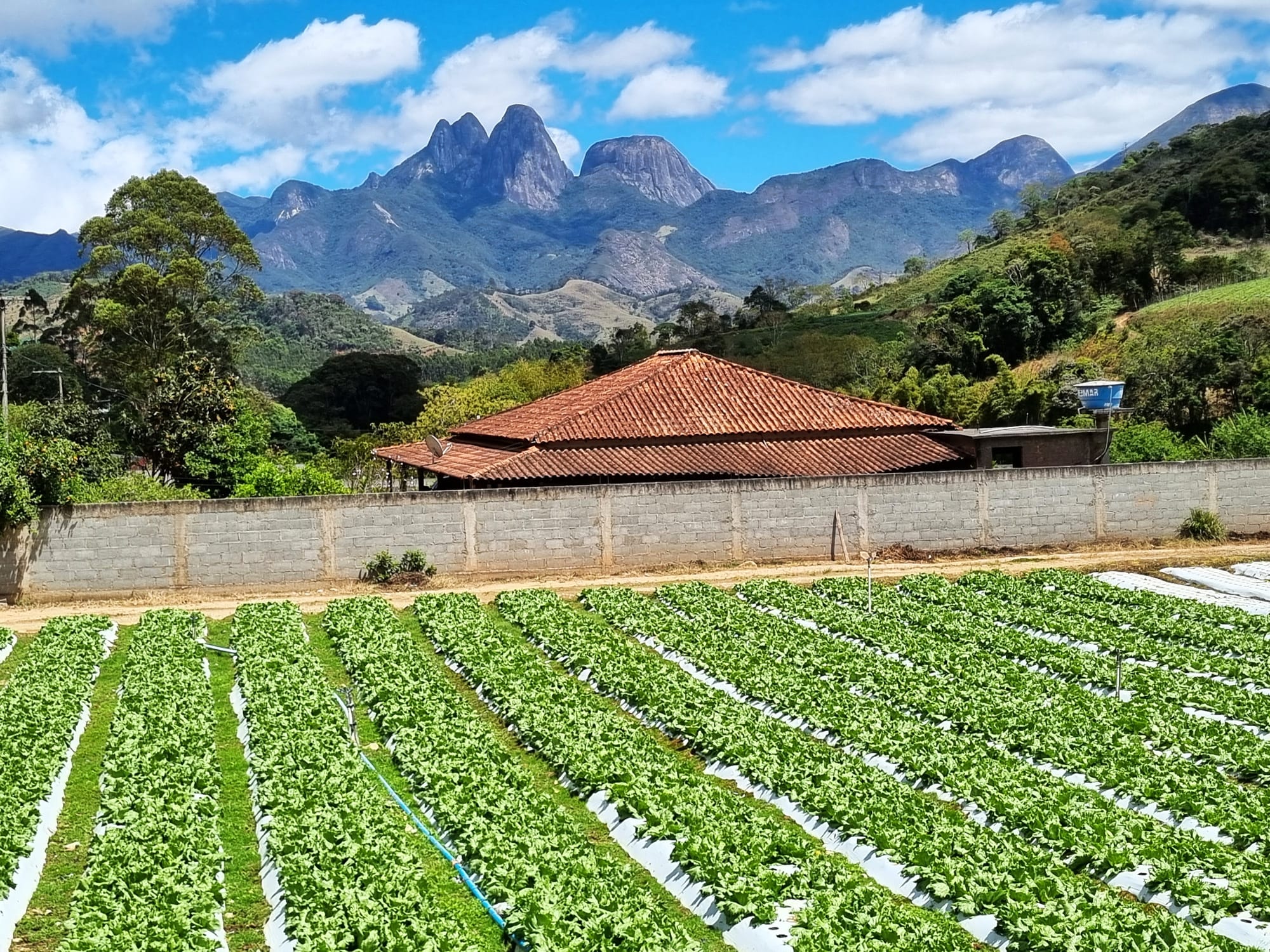 PRESENÇA INDÍGENA EM NOVA FRIBURGO - O CASO DAS PEDRAS POLIDAS