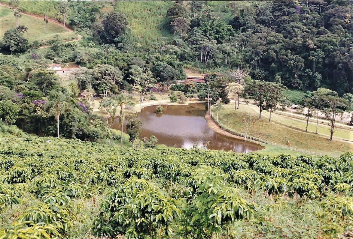 CAFÉ EM FRIBURGO - A HISTÓRIA DA FAZENDA  CACHOEIRA DO AMPARO