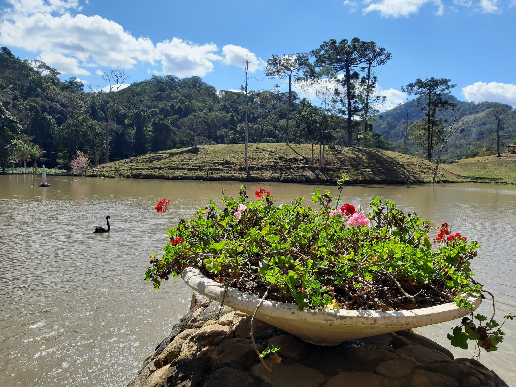 CAFÉ EM FRIBURGO - A HISTÓRIA DA FAZENDA  CACHOEIRA DO AMPARO