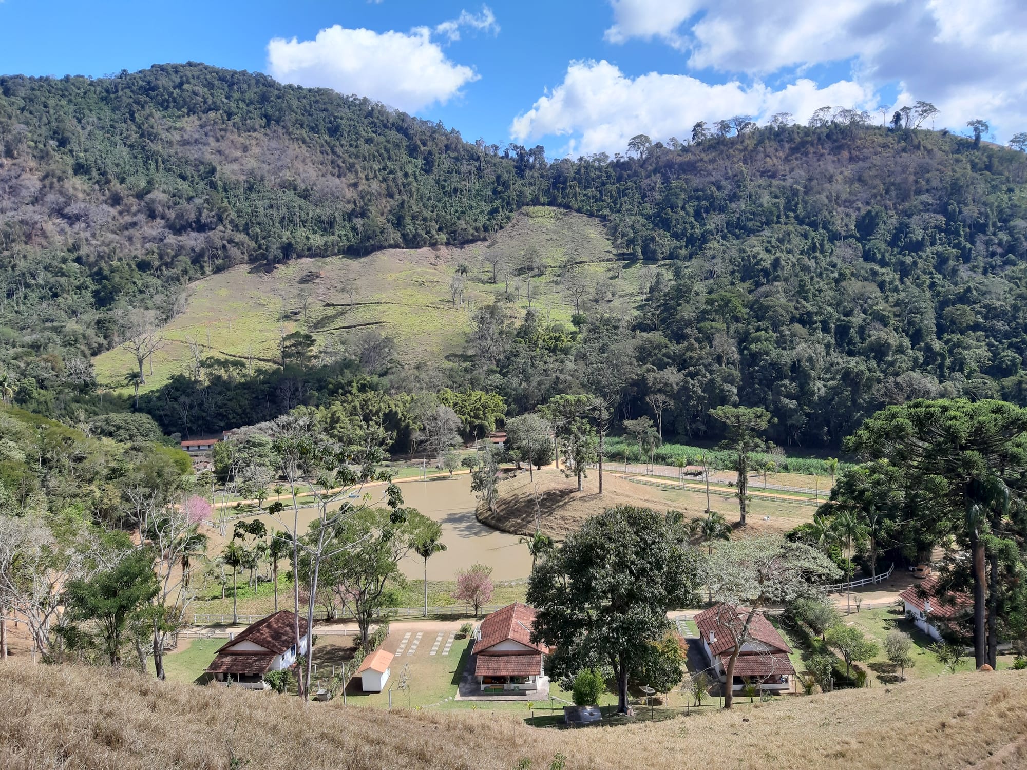 CAFÉ EM FRIBURGO - A HISTÓRIA DA FAZENDA  CACHOEIRA DO AMPARO