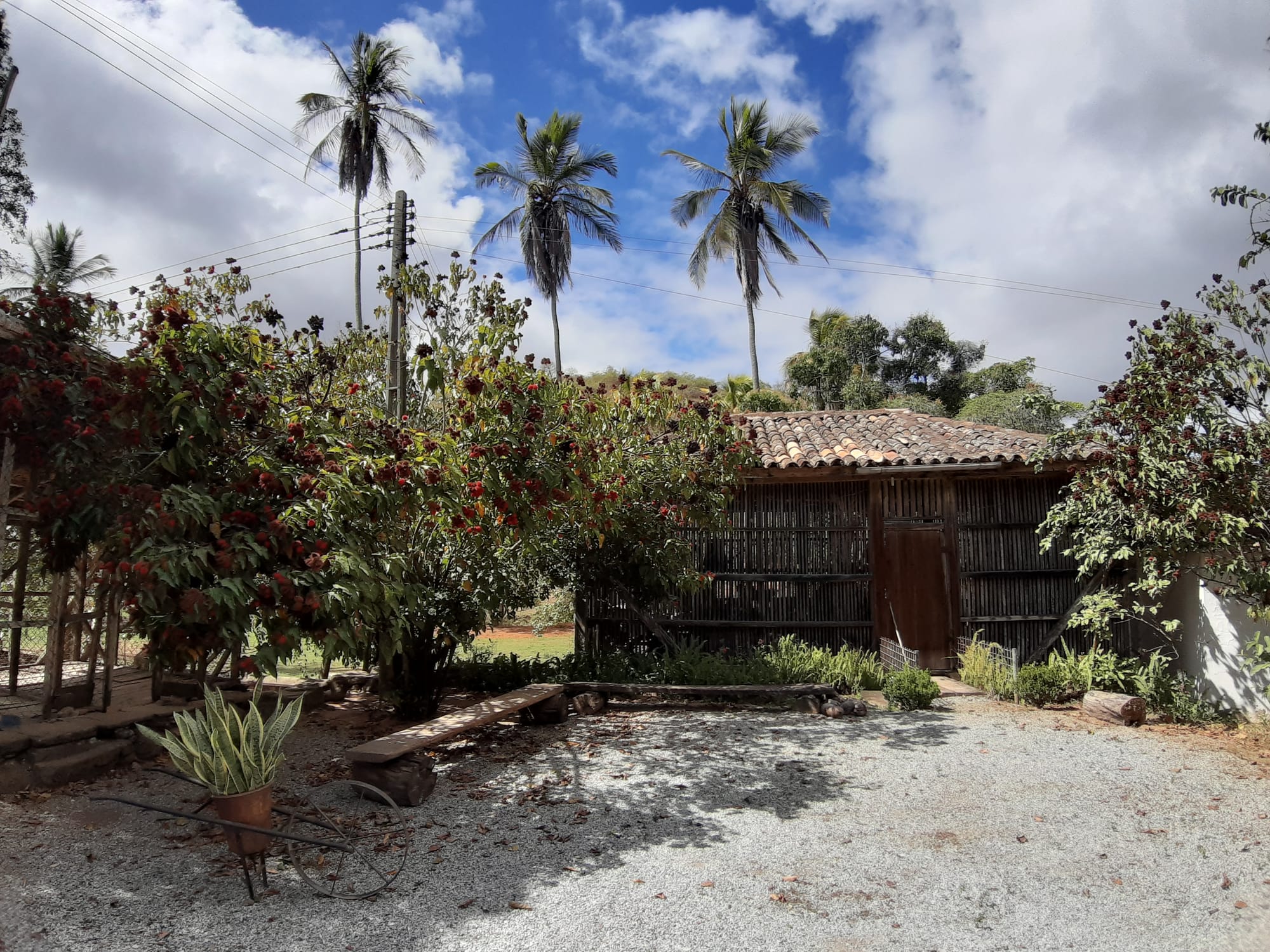 Turismo Rural na Fazenda Sossego