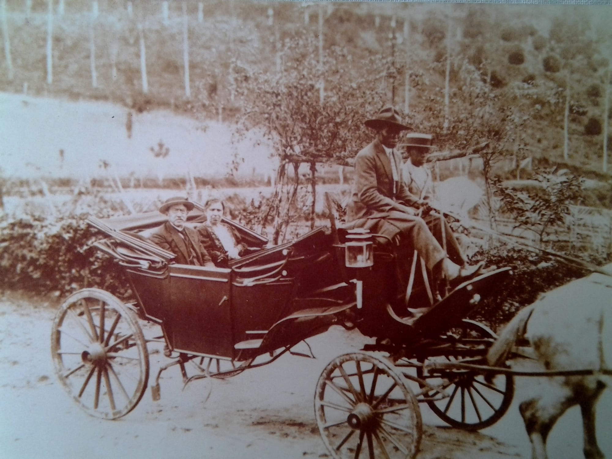 O Histórico Palacete da Vila Amélia