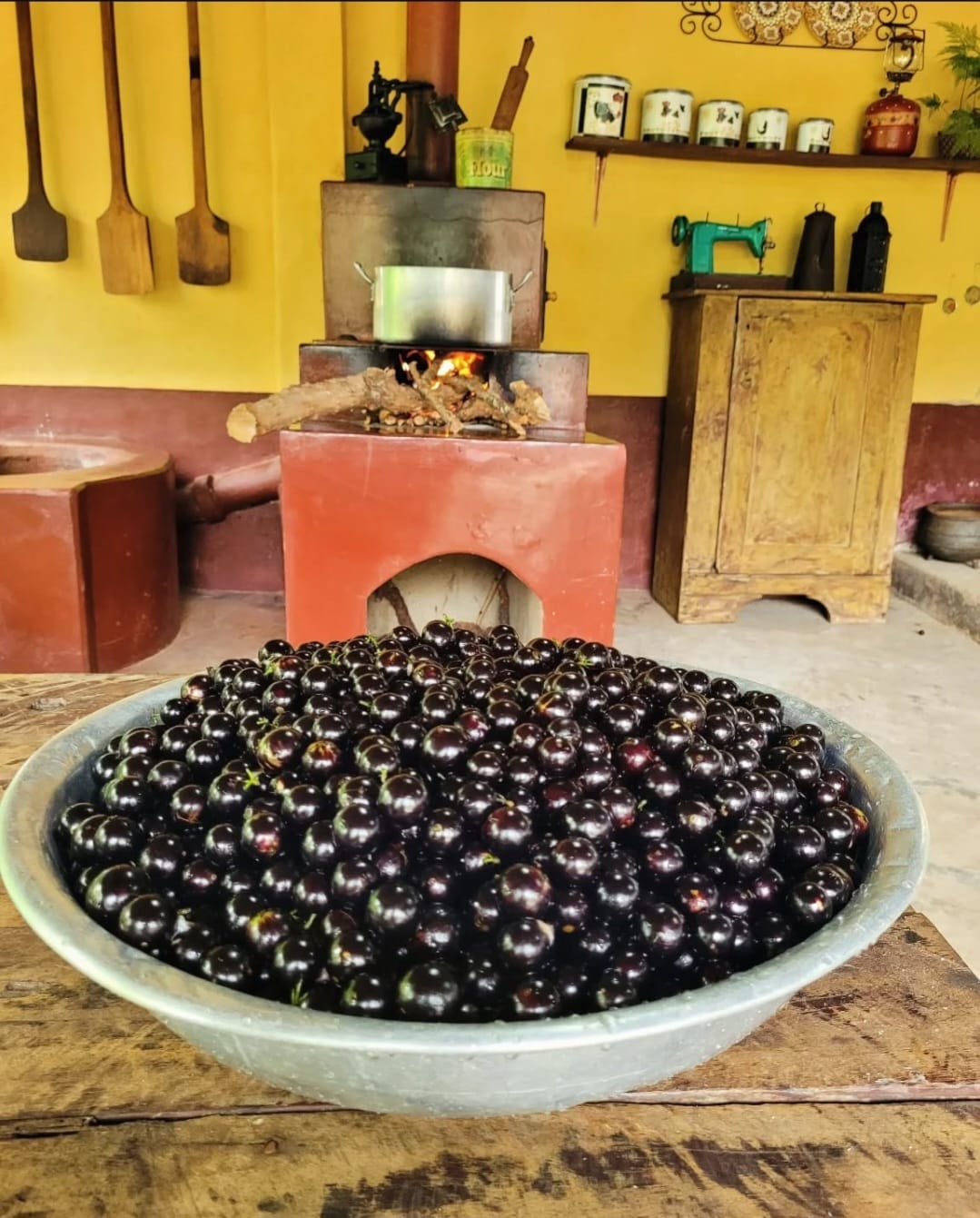 Turismo Rural na Fazenda Sossego