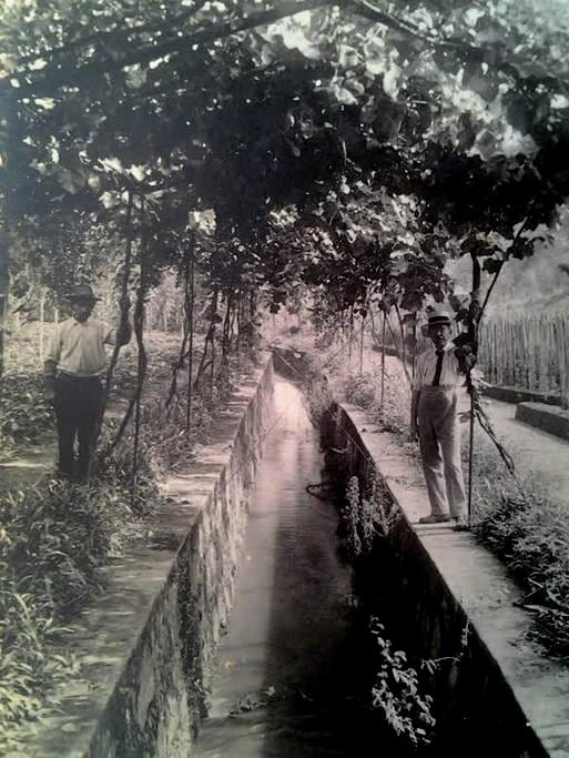 O Histórico Palacete da Vila Amélia